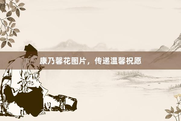 康乃馨花图片,传递温馨祝愿